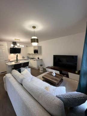 PARIS CDG Superbe appartement en résidence